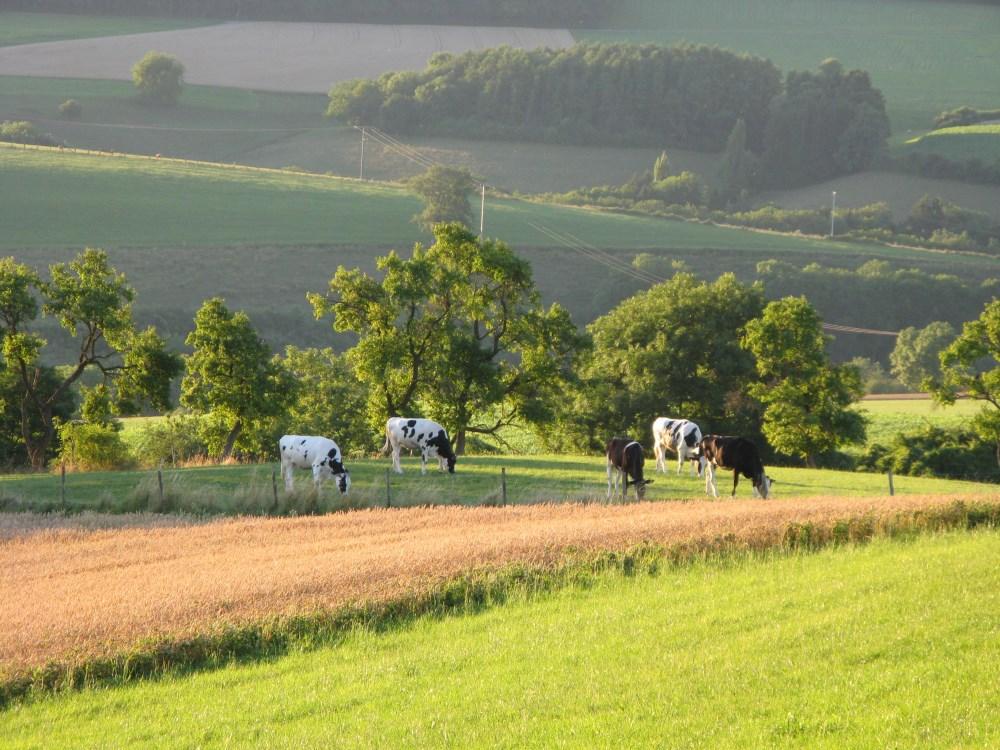 Omgeving-camping