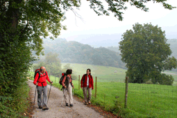 mullerthal trail 5