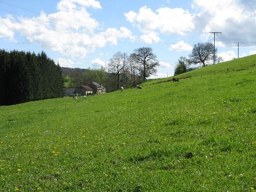 CampingNeumuhle_201202