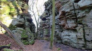 Mullerthal1